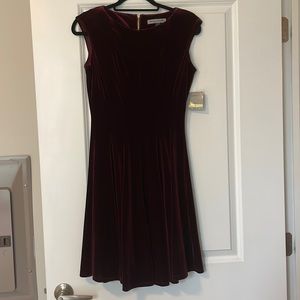 NWT Danny and Nicole Purple Velvet Dress